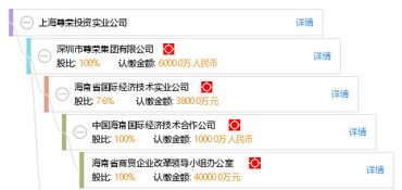 上海尊榮投資實業(yè)公司 實業(yè)投資之路與戰(zhàn)略實踐