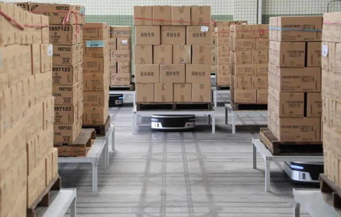 十問(wèn)曠視印奇 AI公司步入深水區(qū)，友商其實(shí)不是友商，裝卸搬運(yùn)的現(xiàn)實(shí)與挑戰(zhàn)