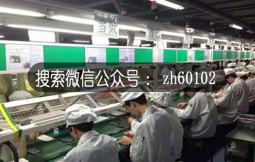 全國(guó)招募物流代理合作伙伴 貨到滿意付款，支持開箱驗(yàn)貨，共創(chuàng)高效服務(wù)網(wǎng)絡(luò)